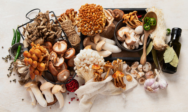 How Adaptogens Work: Benefits, Uses, and Best Practices – IN:TotalWellness