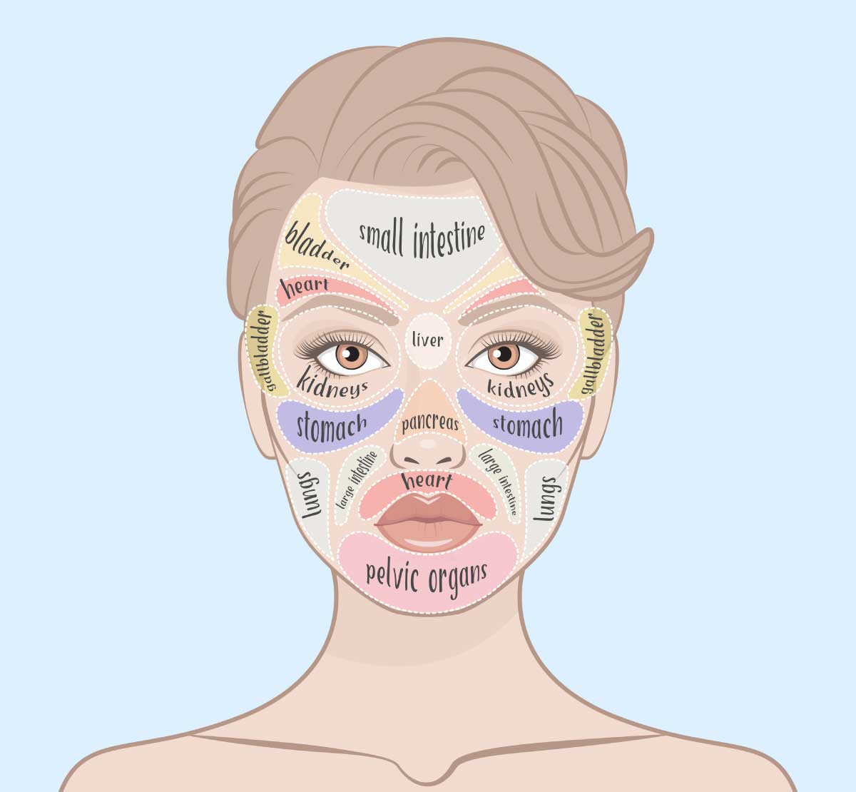 Healing Through the Face: Stomach
