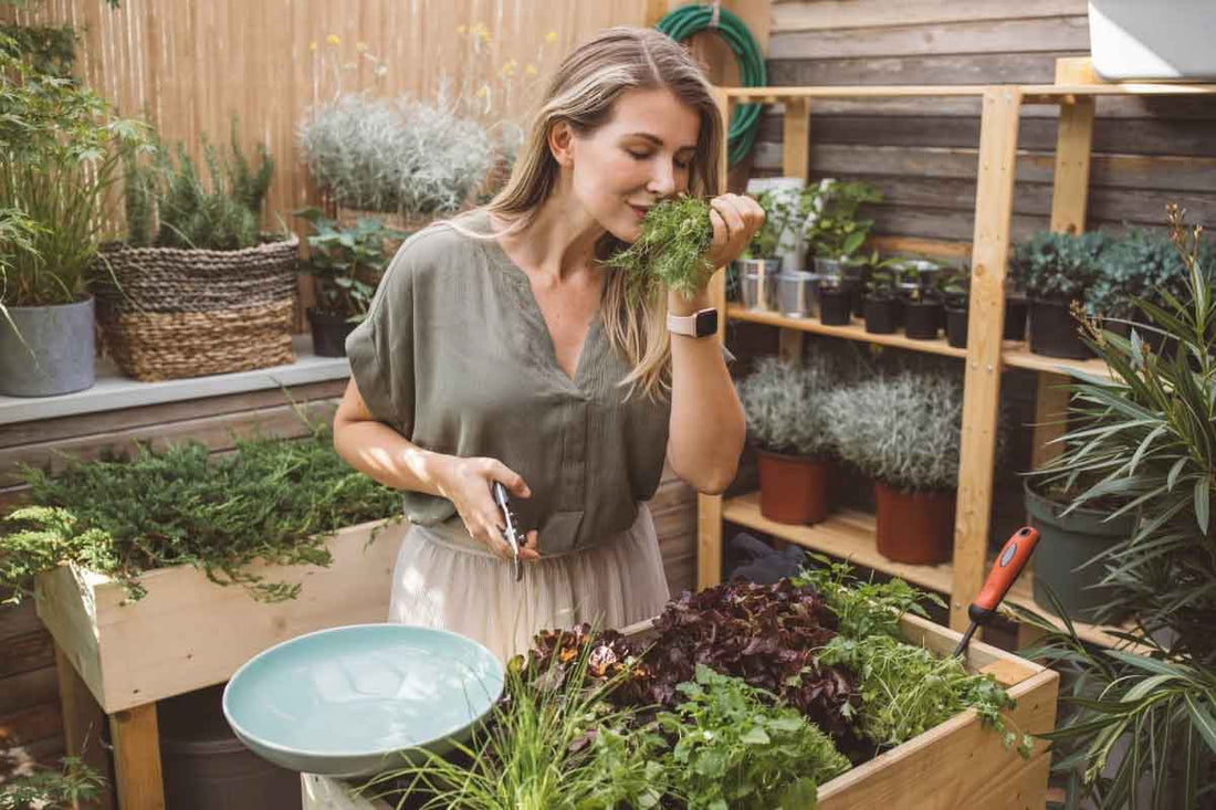 The Most Powerful Immune Boosting Plants You Can Grow!