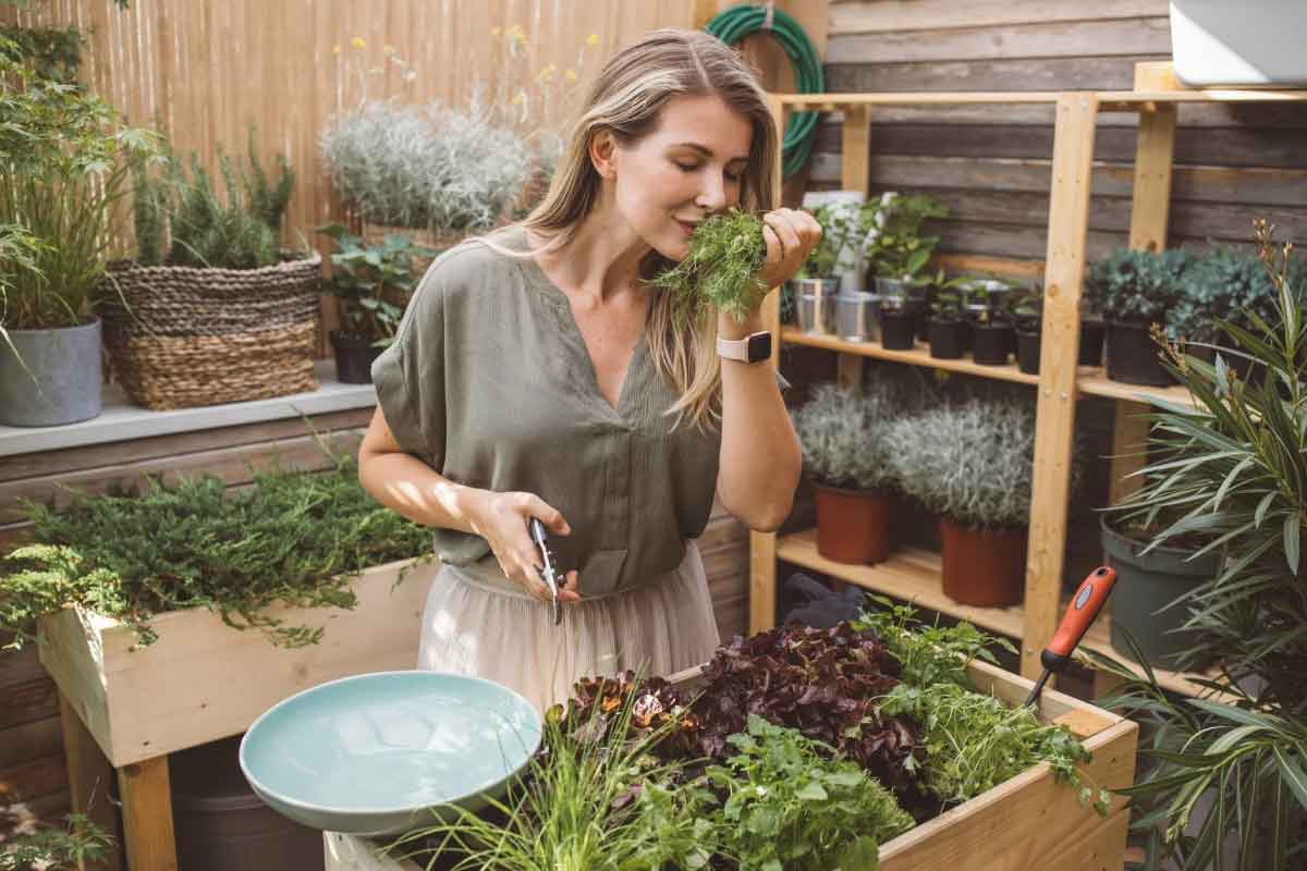 The Most Powerful Immune Boosting Plants You Can Grow!