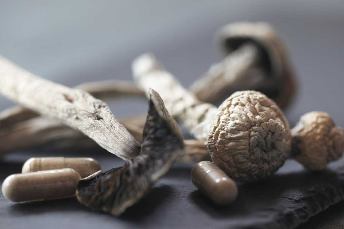 5 Super Powers of Medicinal Mushrooms