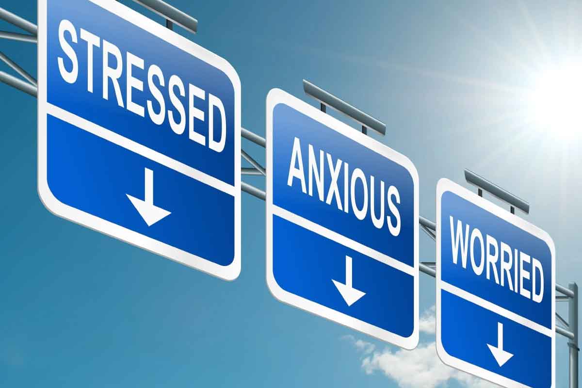 Stress and Anxiety—What’s the Difference and Why You Should Care