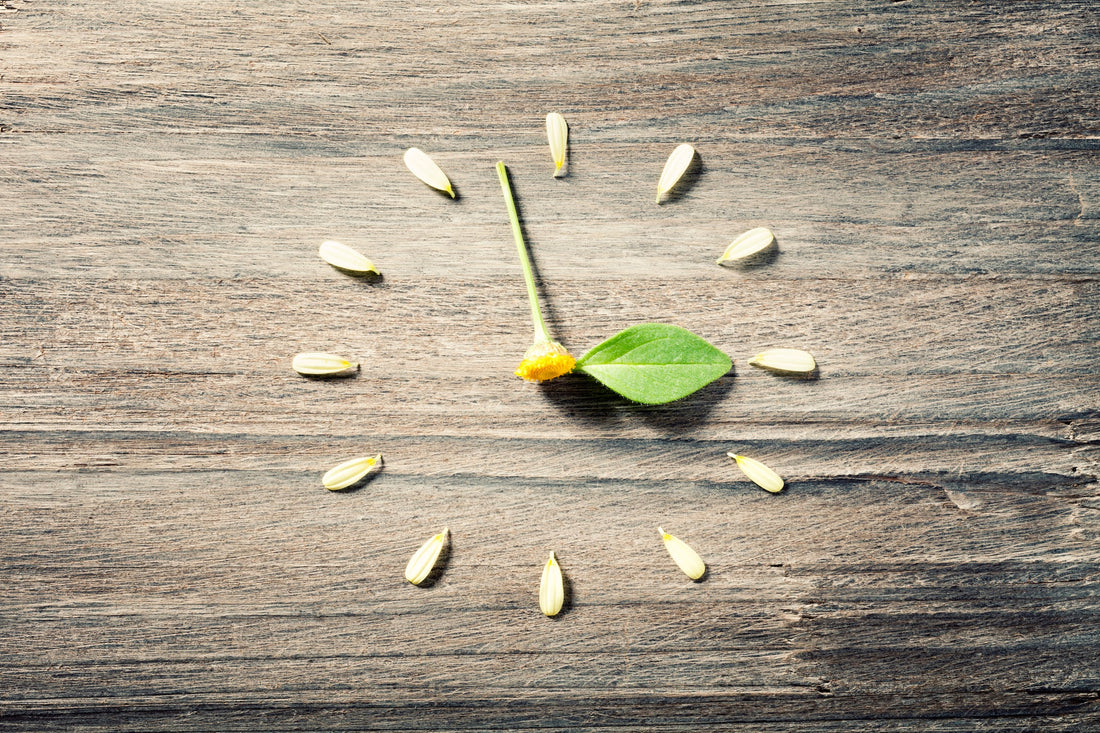 How to maximize the benefits of Fall Time Change