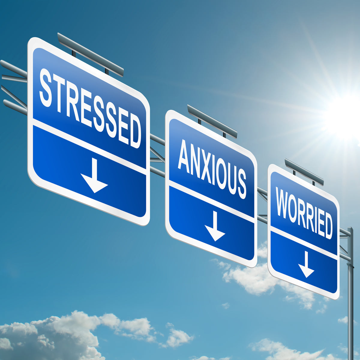 Stress and Anxiety—What’s the Difference and Why You Should Care