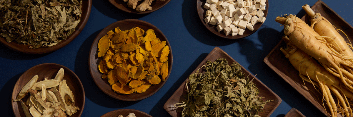 Various types of dried herbs and roots on a blue surface