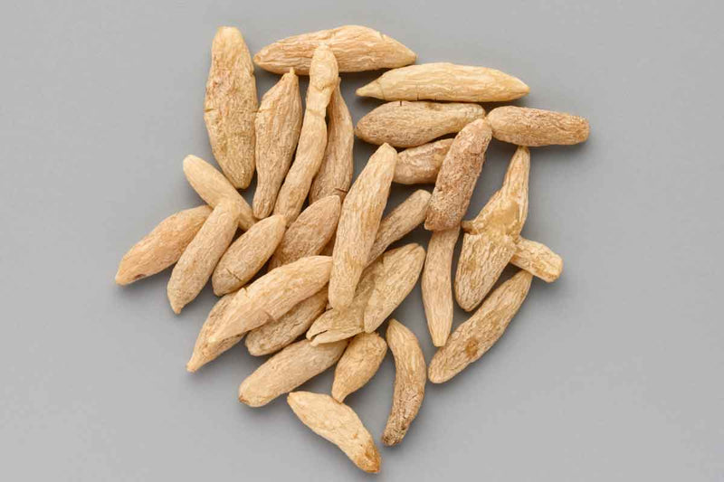 Ophiopogonis-Root