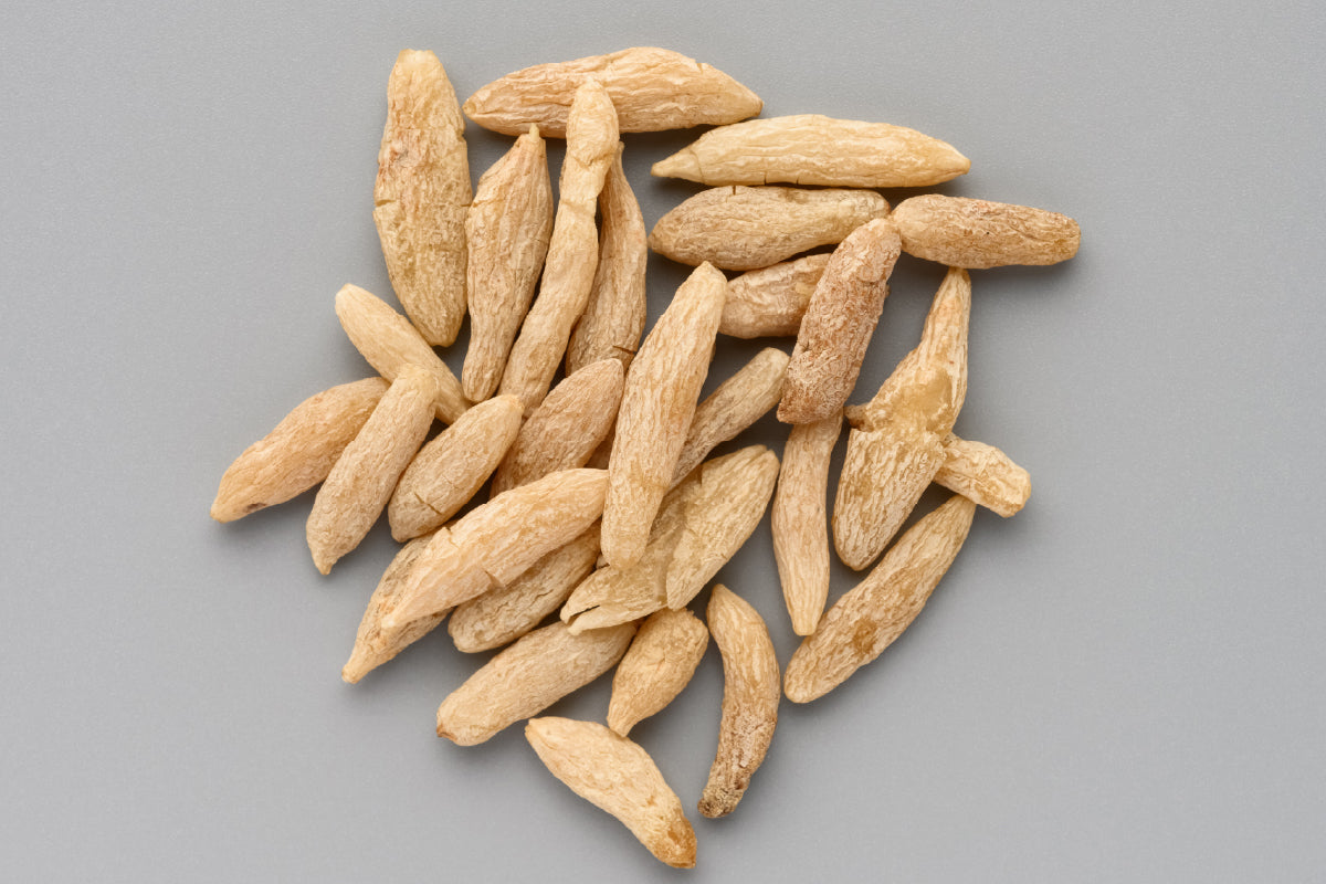 Ophiopogonis roots on a gray background