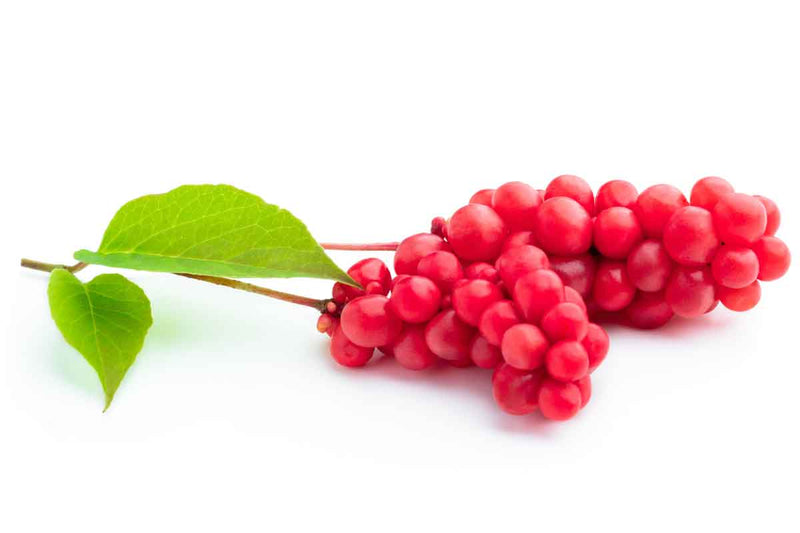 Schisandra Fruit